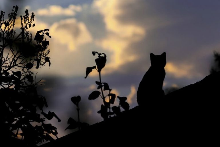 35 Methods to Keep away from Journey Loneliness and Beat the Solo Journey Blues