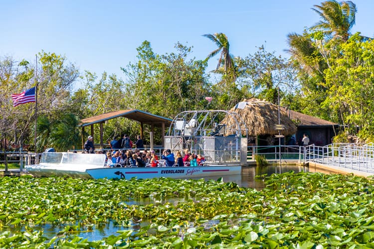 Miami – Dwell Like a Native Whereas Touring