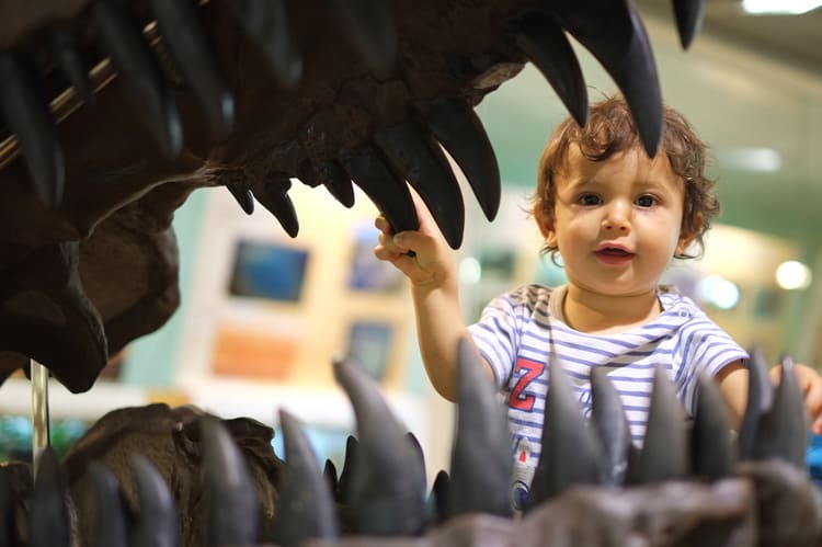 11 Issues to Do With Infants in NYC