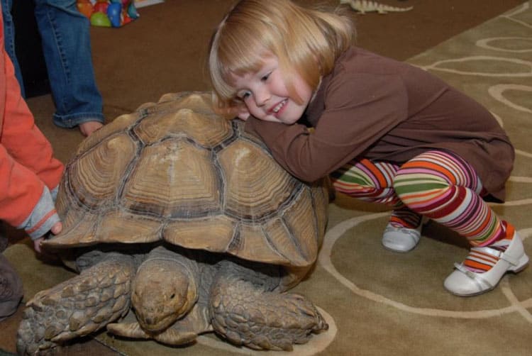 Distinctive Methods to Discover Salt Lake Metropolis With Children